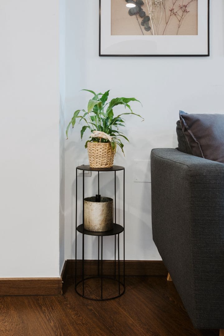 2 bedroom Apartment for rent in Calpe / Calp - € 1,290 (Ref: 9273030)