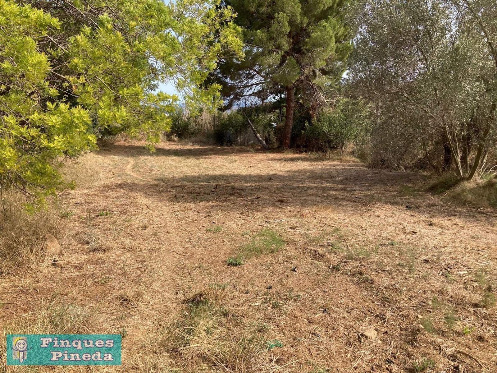 Terreno Non Edificato in vendita in Pineda de Mar - 79.900 € (Rif: 9311359)