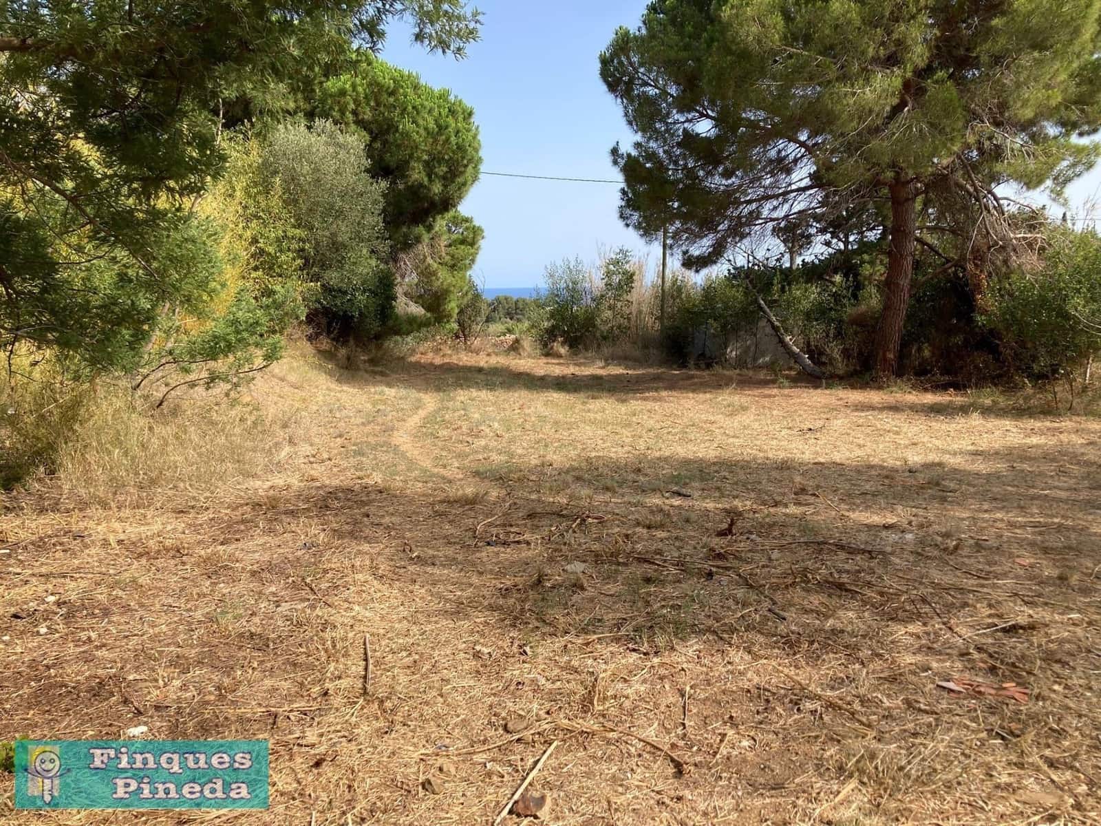 Terreno Non Edificato in vendita in Pineda de Mar - 79.900 € (Rif: 9311359)