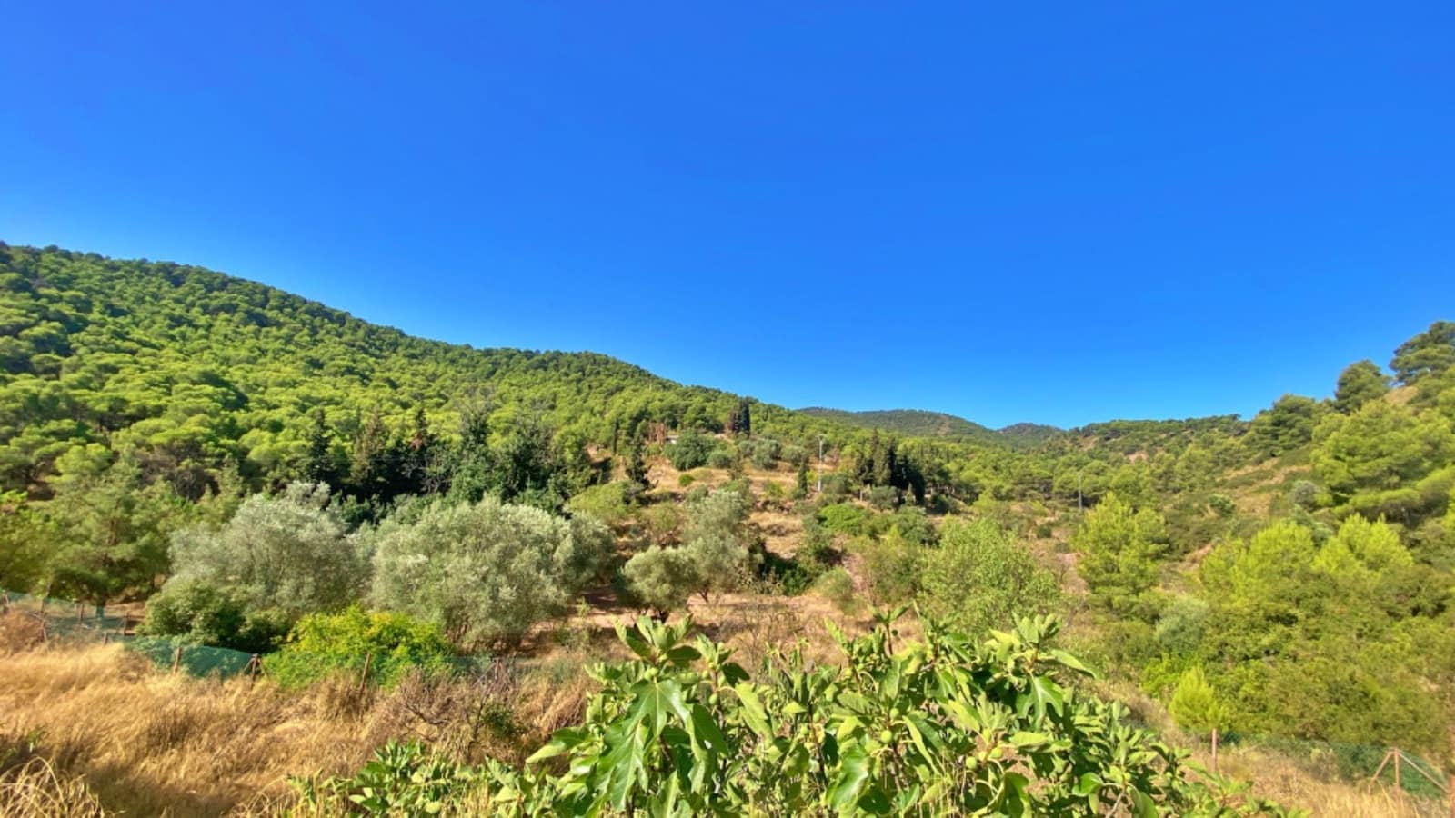 4 slaapkamer Finca/Landhuis te koop in Alhama de Murcia met garage - € 320.000 (Ref: 10011550)