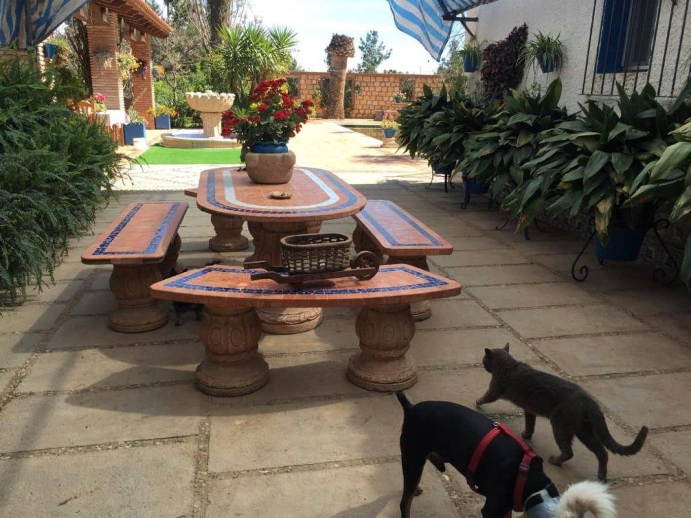 5 soverom Villa til salgs i Totana med svømmebasseng garasje - € 399 990 (Ref: 9282514)