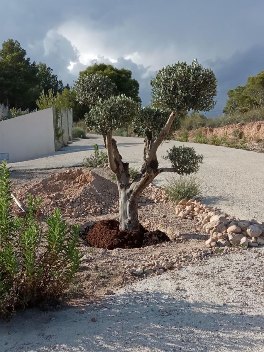 3 slaapkamer Villa te koop in Totana - € 295.000 (Ref: 9282526)