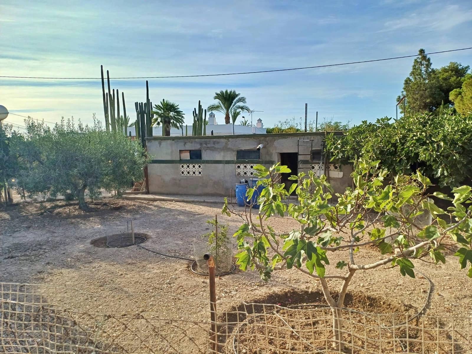 4 Zimmer Villa zu verkaufen in Elche / Elx mit Pool - 385.000 € (Ref: 9282540)