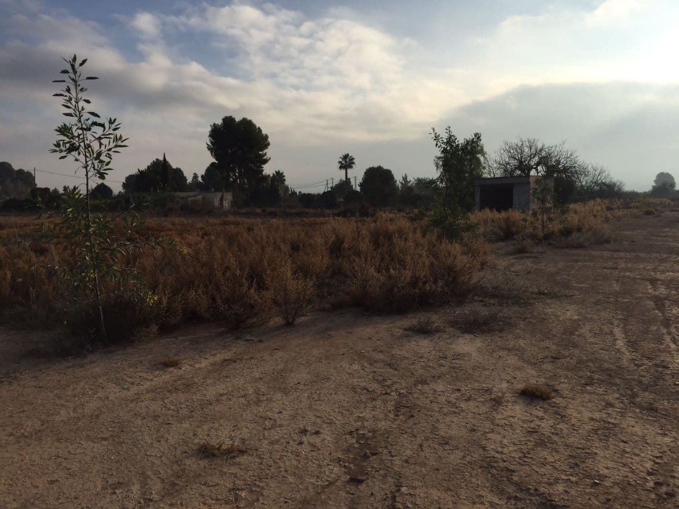 3 slaapkamer Finca/Landhuis te koop in Librilla - € 193.100 (Ref: 9376779)