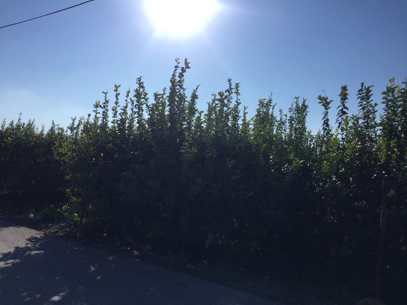 Grond te koop in Llano de Brujas - € 65.260 (Ref: 9376781)