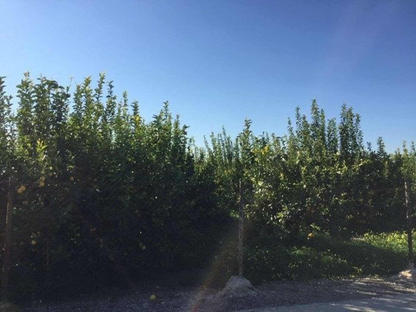 Grond te koop in Llano de Brujas - € 65.260 (Ref: 9376781)