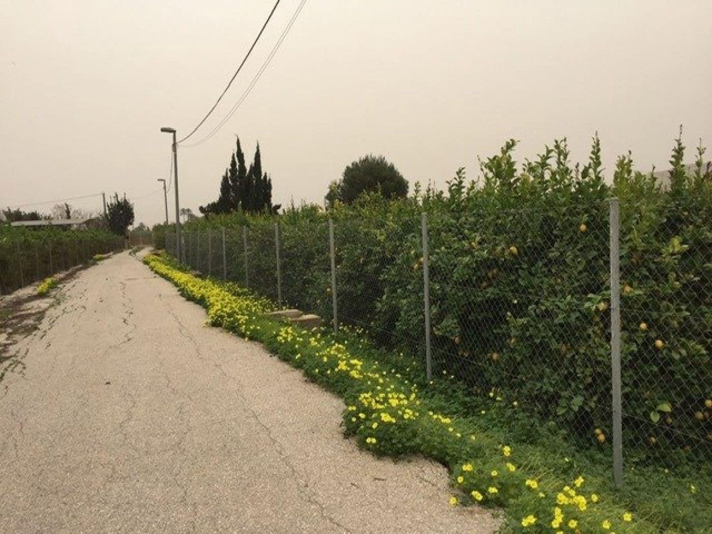 Bauplatz zu verkaufen in Llano de Brujas - 97.260 € (Ref: 9376786)