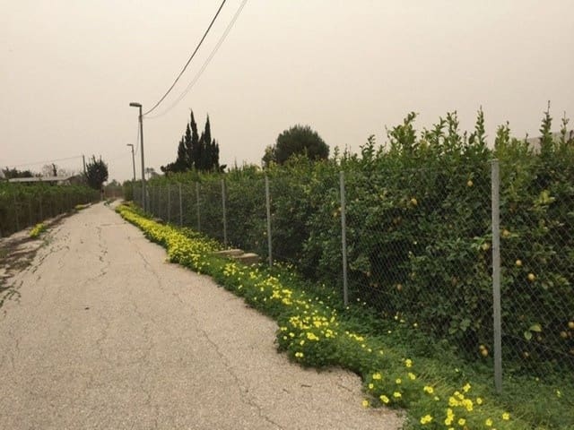 Bouwgrond te koop in Llano de Brujas, Murcia stad - € 97.260 (Ref: 9376786)