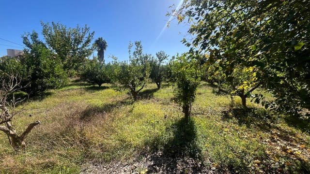 Grond te koop in Guadalupe, Murcia stad - € 300.000 (Ref: 9398585)