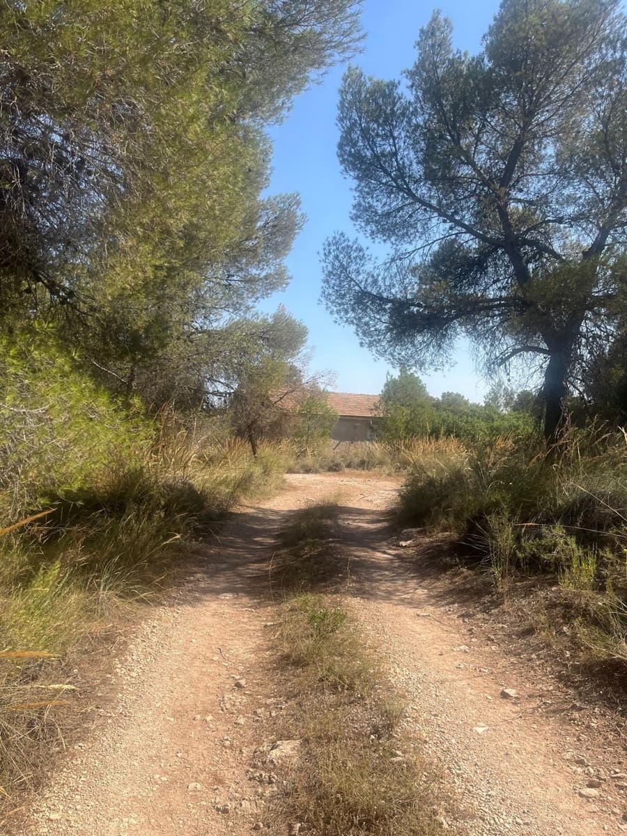 Grunde uden byggetilladelser til salg i Totana - € 70.000 (Ref: 9406724)