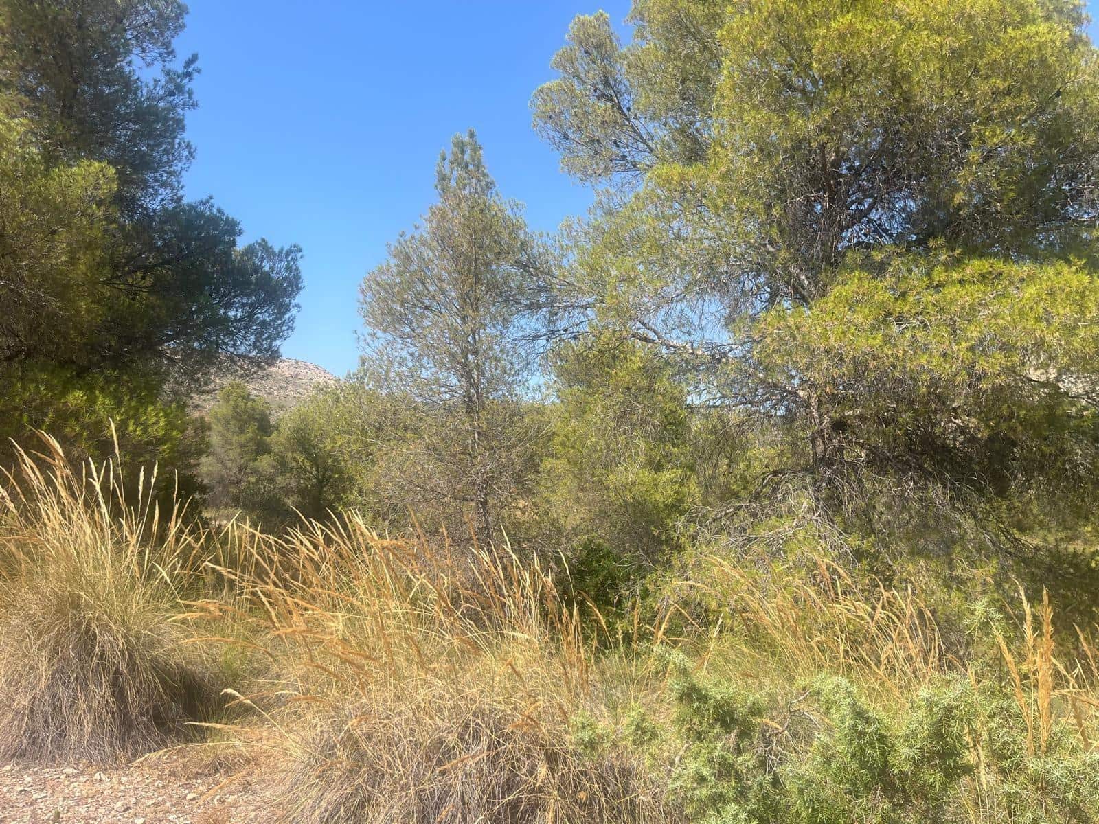 Grunde uden byggetilladelser til salg i Totana - € 70.000 (Ref: 9406724)