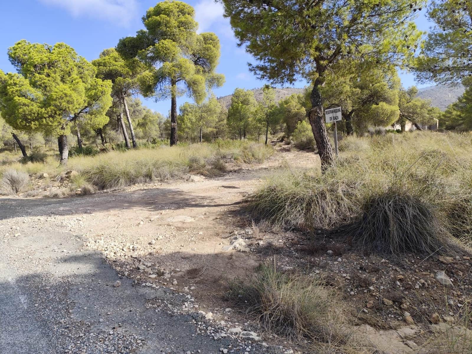 Grunde uden byggetilladelser til salg i Totana - € 70.000 (Ref: 9406724)