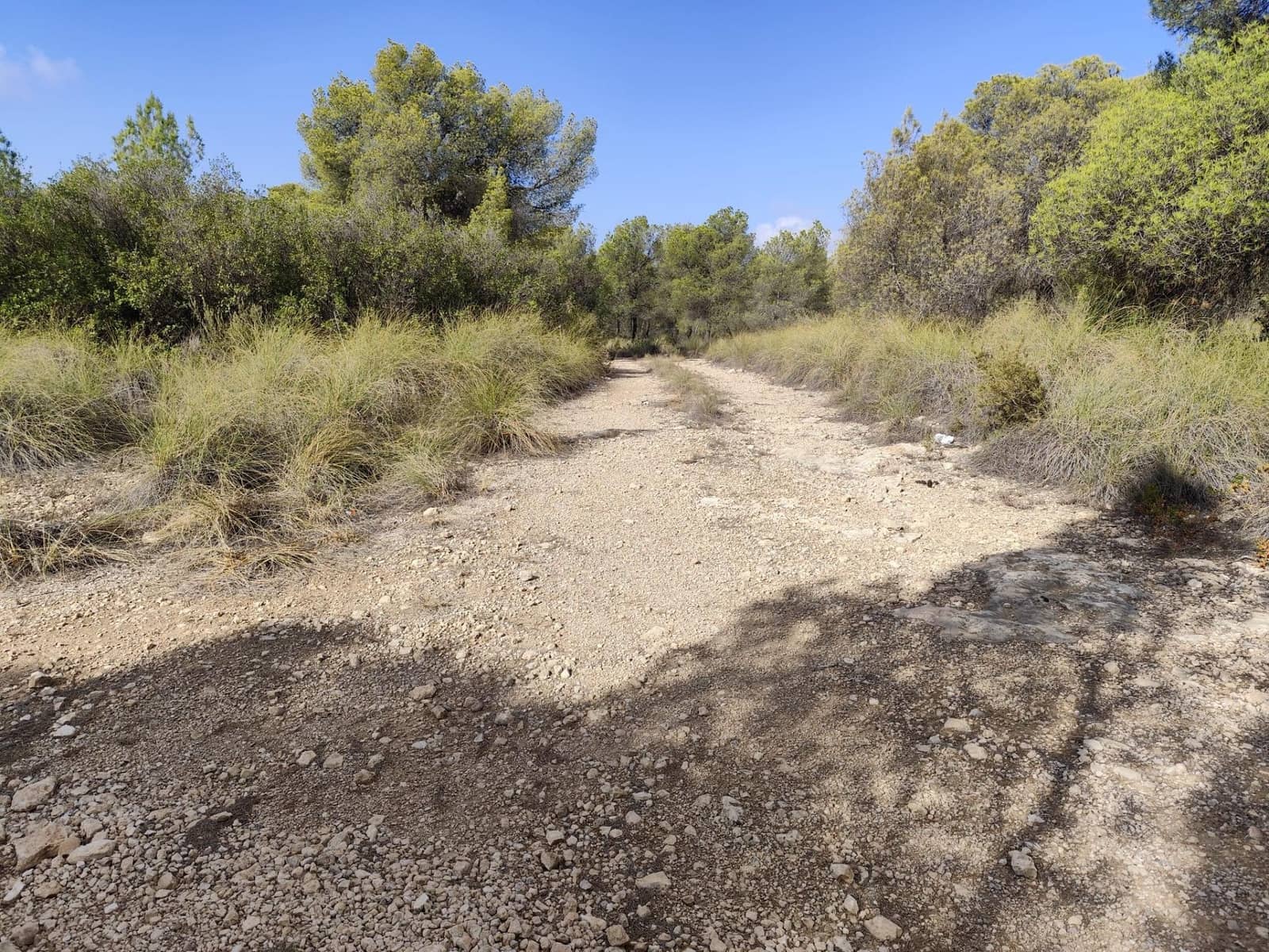 Grunde uden byggetilladelser til salg i Totana - € 70.000 (Ref: 9406724)