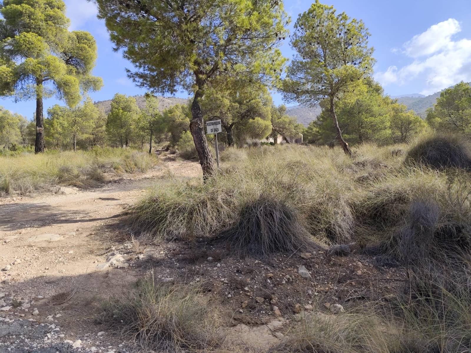 Landgrundstück zu verkaufen in Totana - 70.000 € (Ref: 9406724)