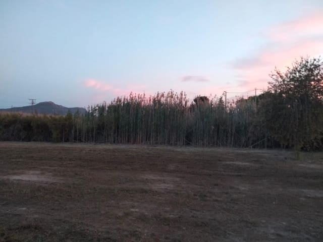 Undeveloped Land for sale in Blanca - € 42,000 (Ref: 9414207)