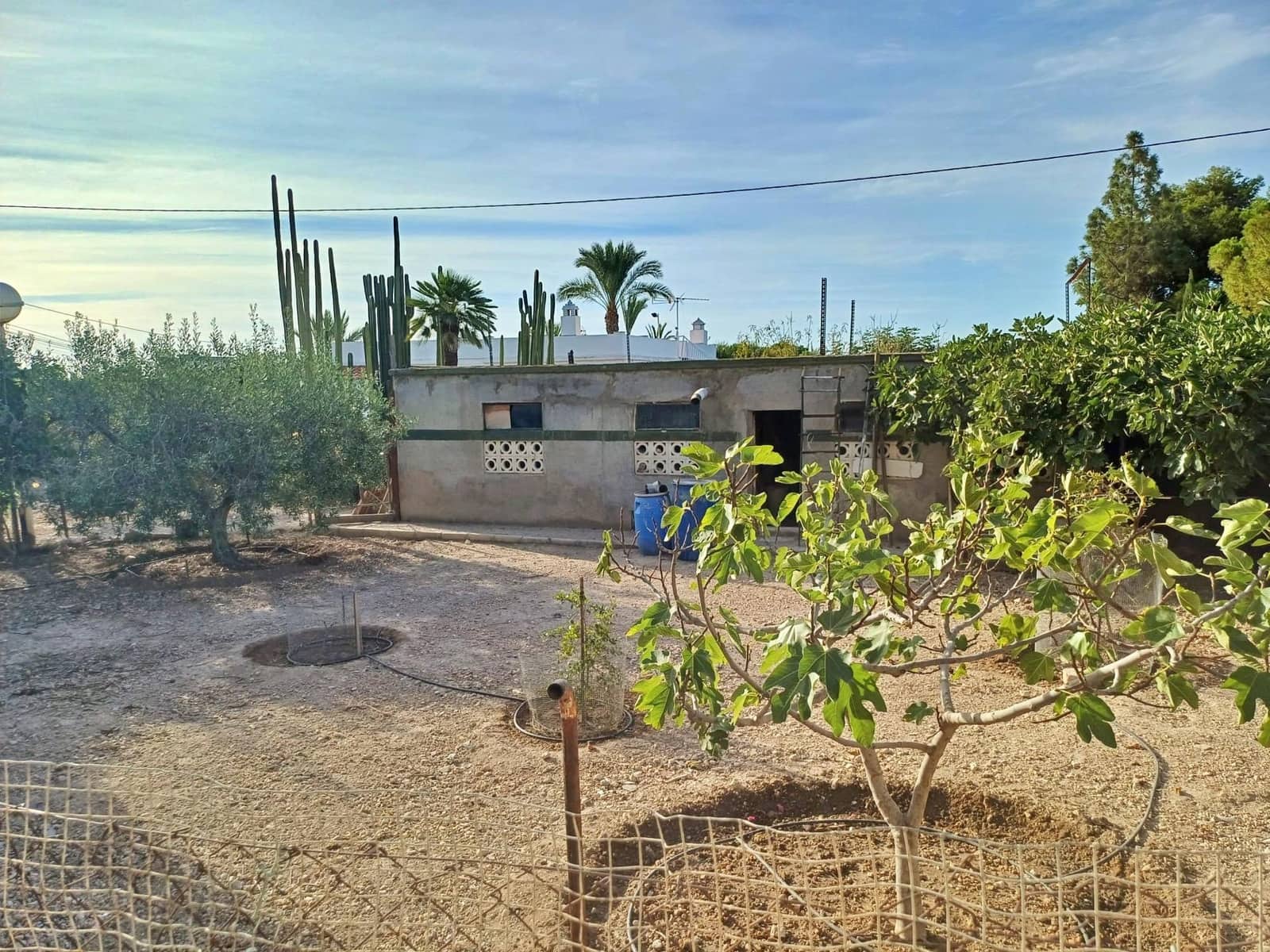 4 chambre Villa/Maison à vendre à Elche / Elx avec piscine - 358 000 € (Ref: 9765192)