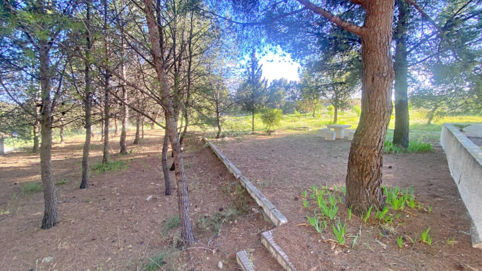 3 chambre Finca/Maison de Campagne à vendre à Aledo - 230 000 € (Ref: 9794750)