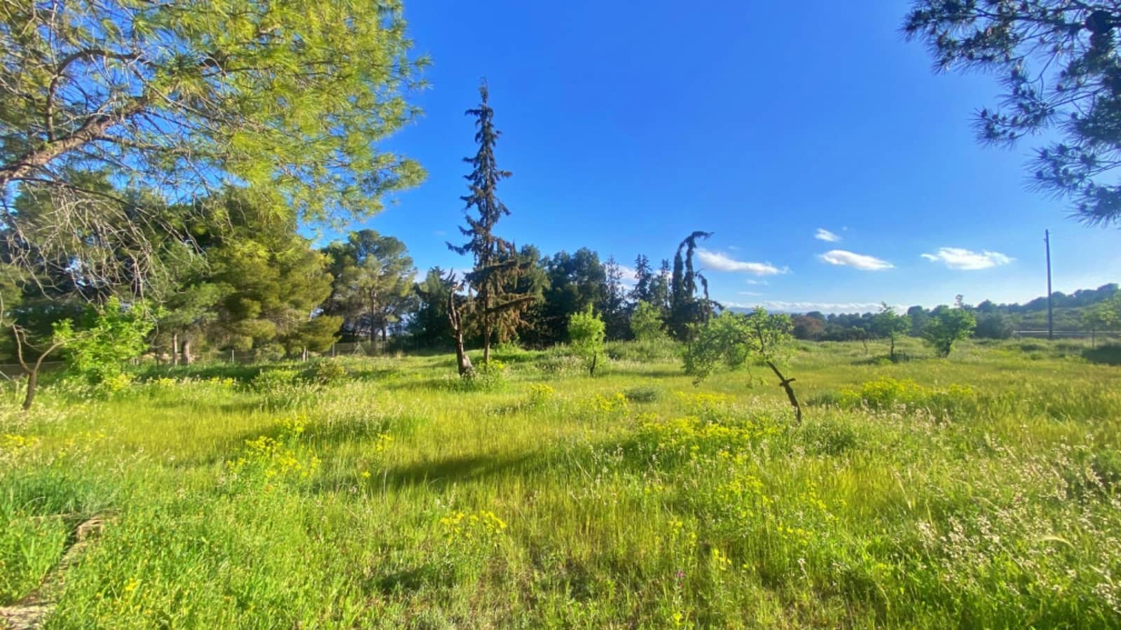 3 chambre Finca/Maison de Campagne à vendre à Aledo - 230 000 € (Ref: 9794750)