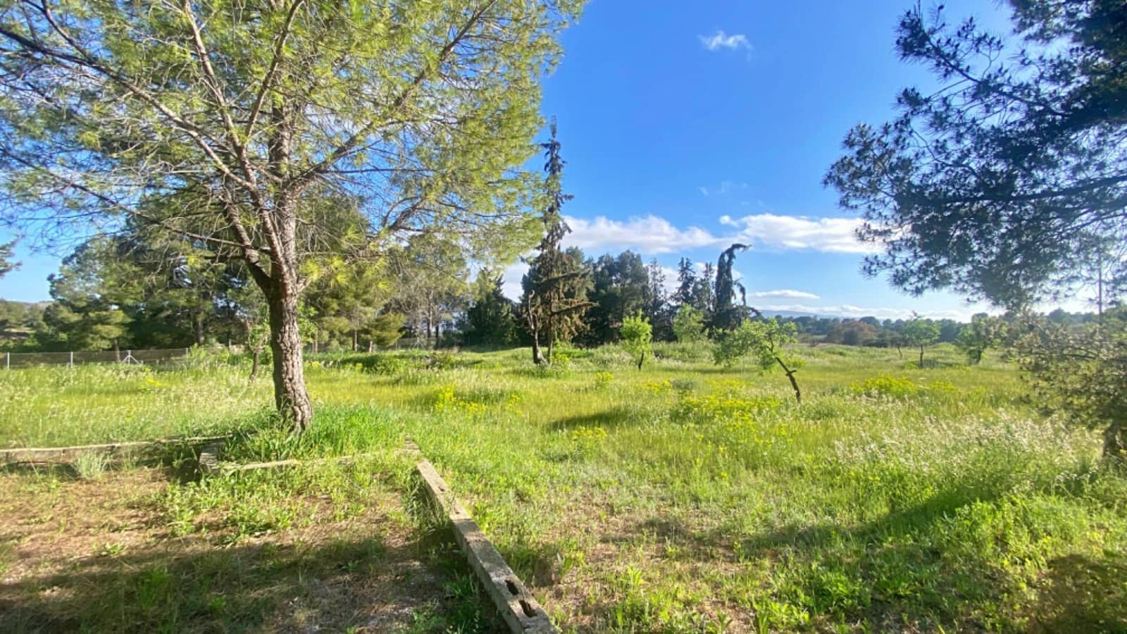 3 chambre Finca/Maison de Campagne à vendre à Aledo - 230 000 € (Ref: 9794750)