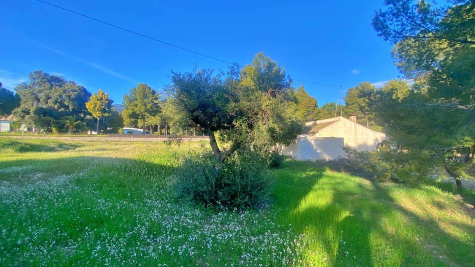 3 chambre Finca/Maison de Campagne à vendre à Aledo - 230 000 € (Ref: 9794750)