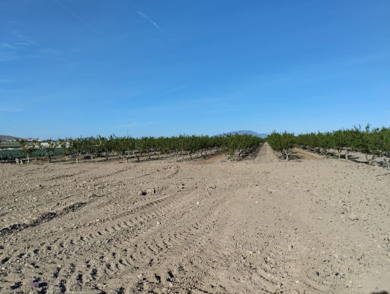 Landgrundstück zu verkaufen in Totana - 110.000 € (Ref: 9804388)