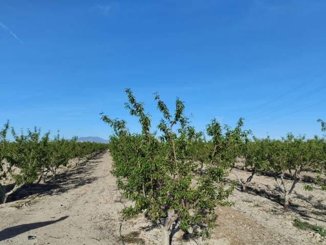 Landgrundstück zu verkaufen in Totana - 110.000 € (Ref: 9804388)