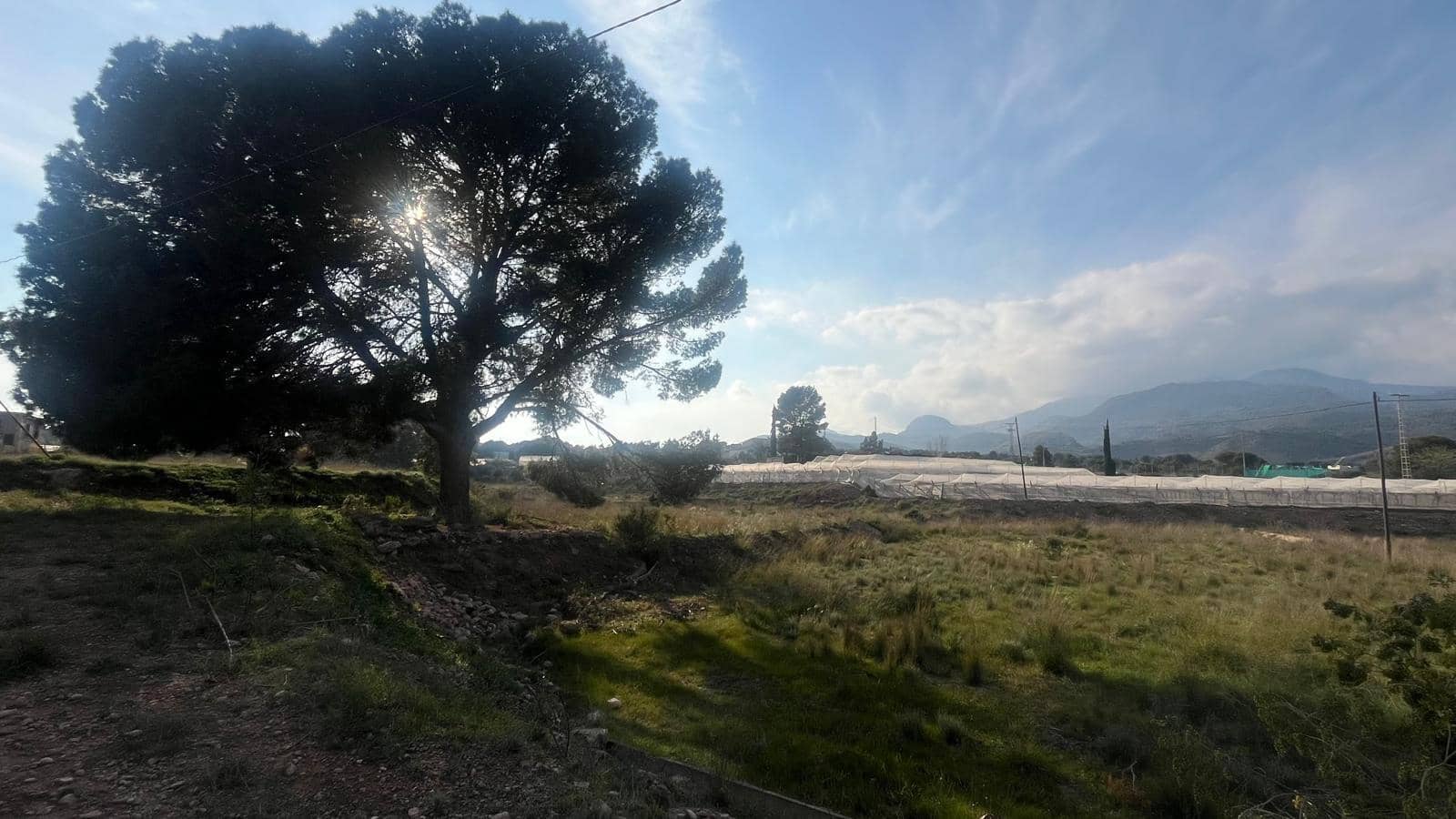 Undeveloped Land for sale in Totana - € 57,000 (Ref: 9839640)