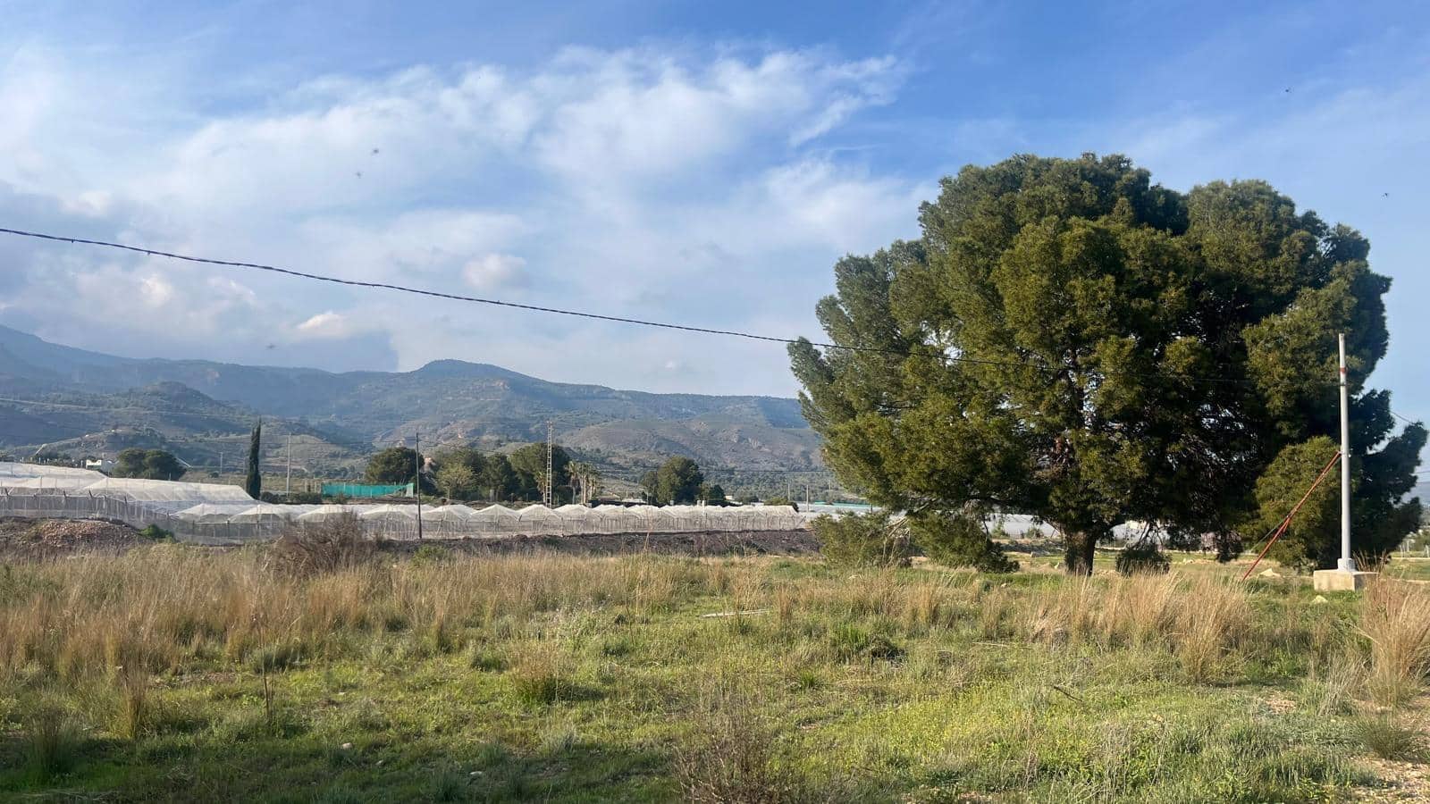 Undeveloped Land for sale in Totana - € 57,000 (Ref: 9839640)
