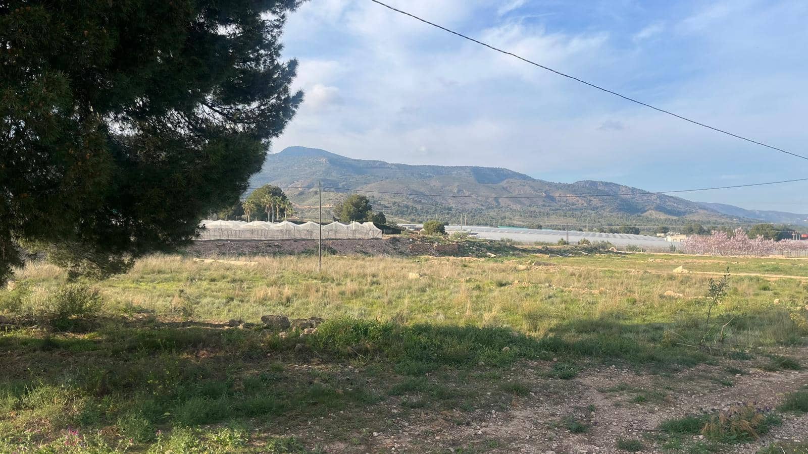 Undeveloped Land for sale in Totana - € 57,000 (Ref: 9839640)