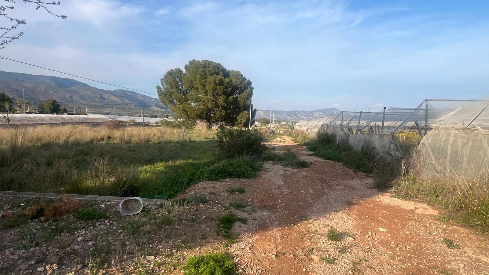 Undeveloped Land for sale in Totana - € 57,000 (Ref: 9839640)