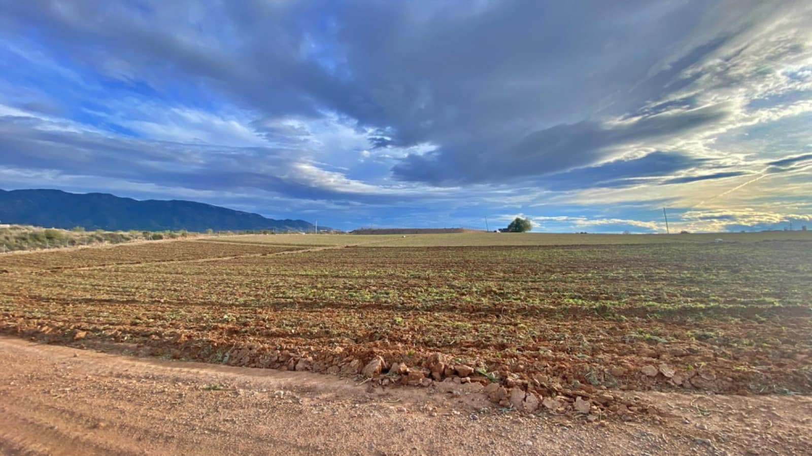 Undeveloped Land for sale in Librilla - € 936,000 (Ref: 9839645)