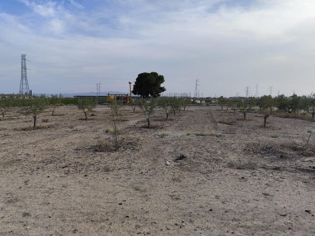 Terreno/Finca Rústica en Totana en venta - 49.000 € (Ref: 9868680)