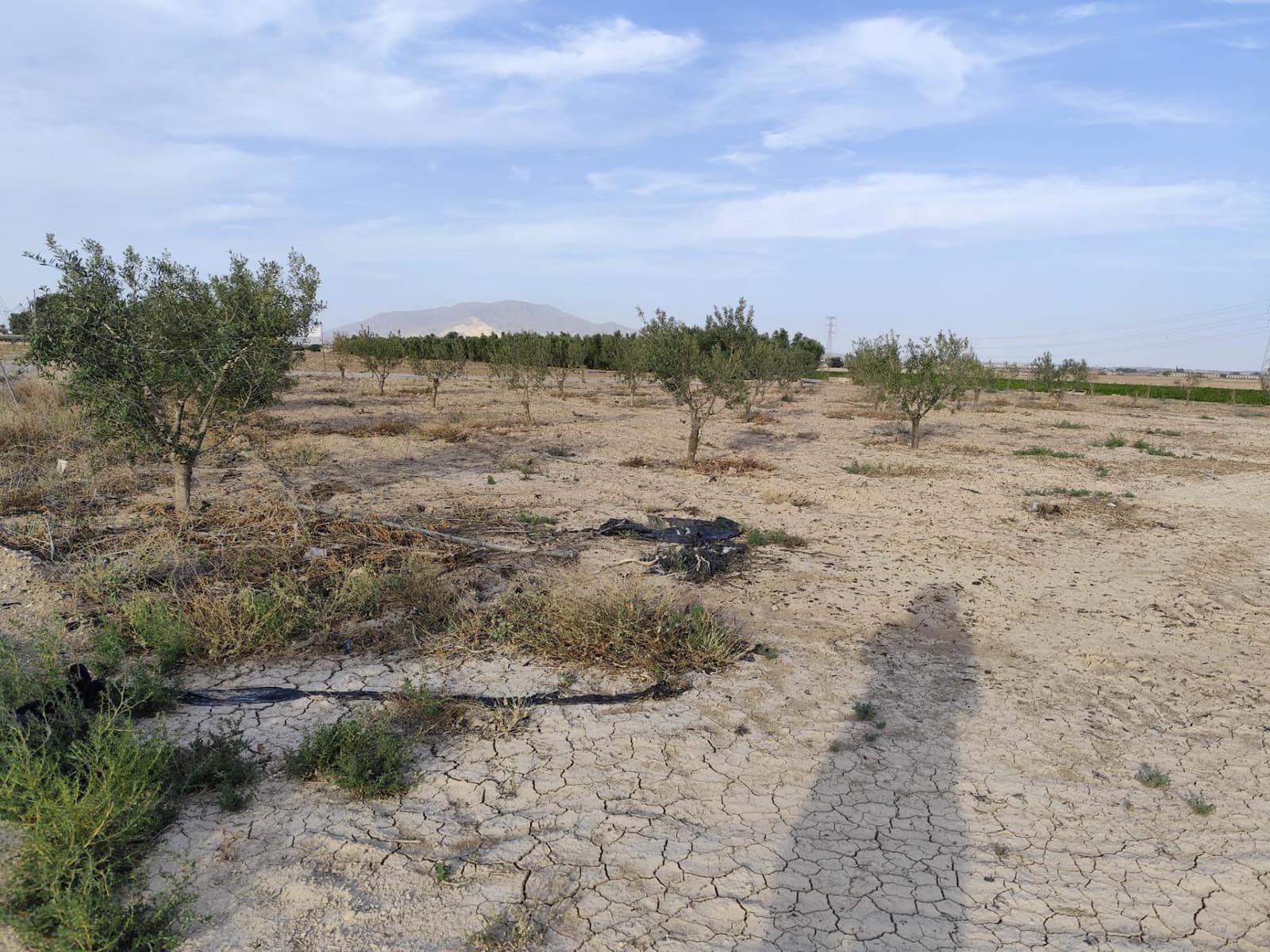 Terreno Non Edificato in vendita in Totana - 49.000 € (Rif: 9868680)