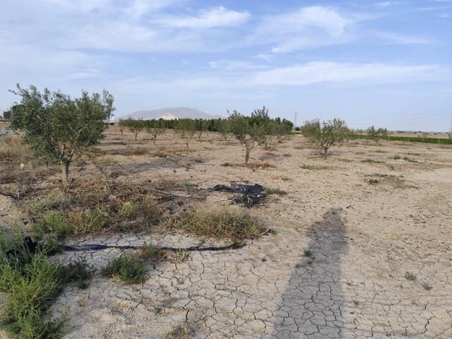 Terreno/Finca Rústica en Totana en venta - 49.000 € (Ref: 9868680)