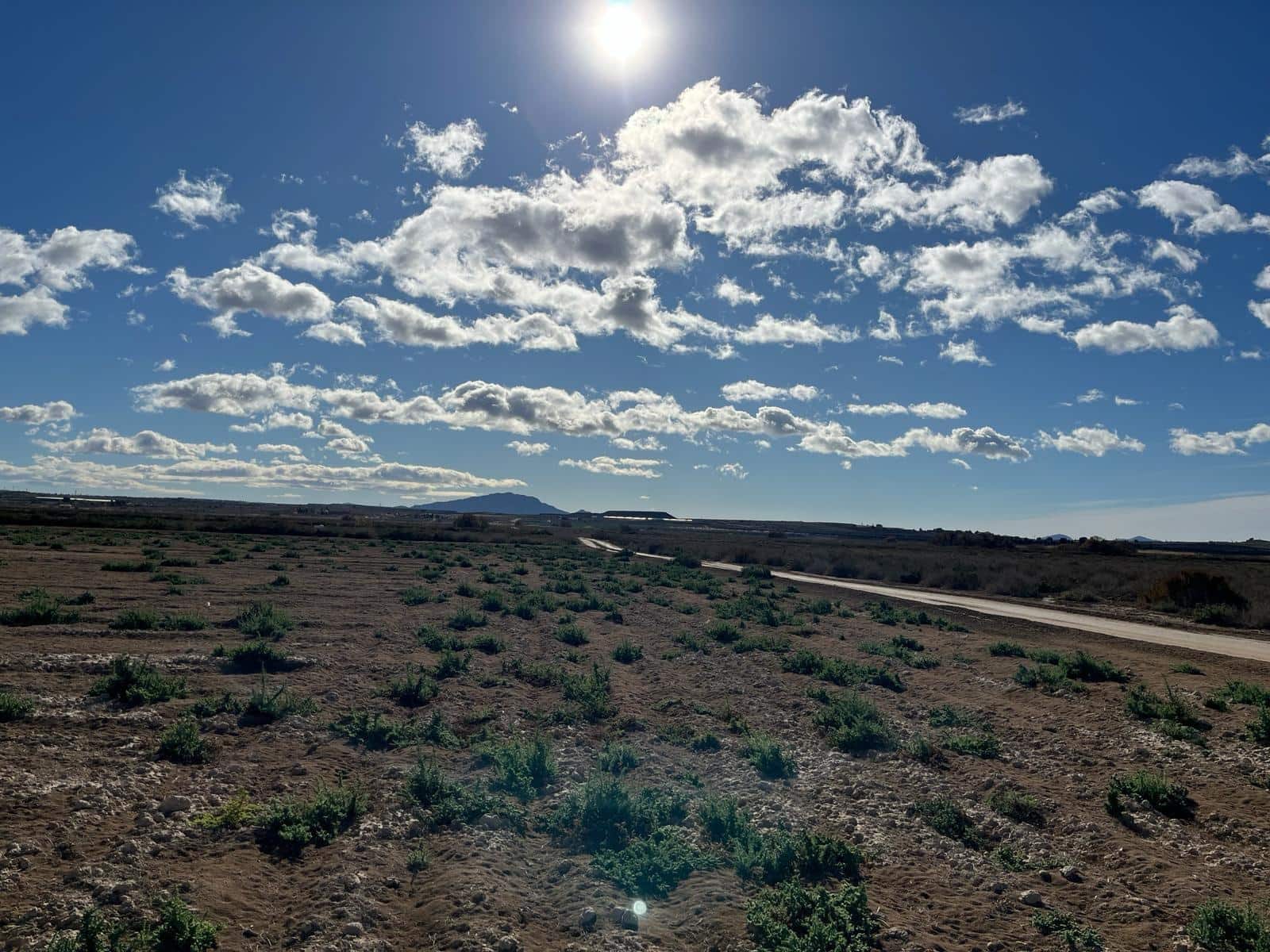 Ubebygd land til salgs i Alhama de Murcia - € 45 000 (Ref: 9884915)