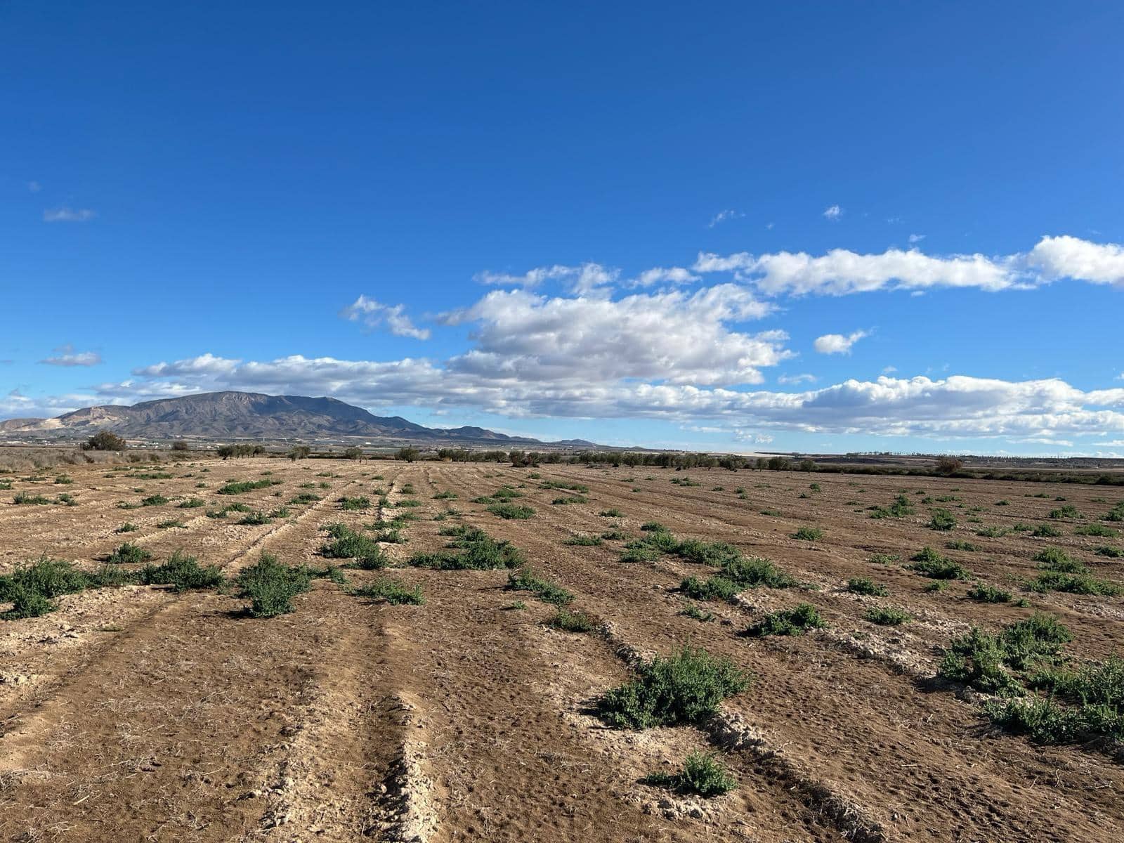 Ubebygd land til salgs i Alhama de Murcia - € 45 000 (Ref: 9884915)