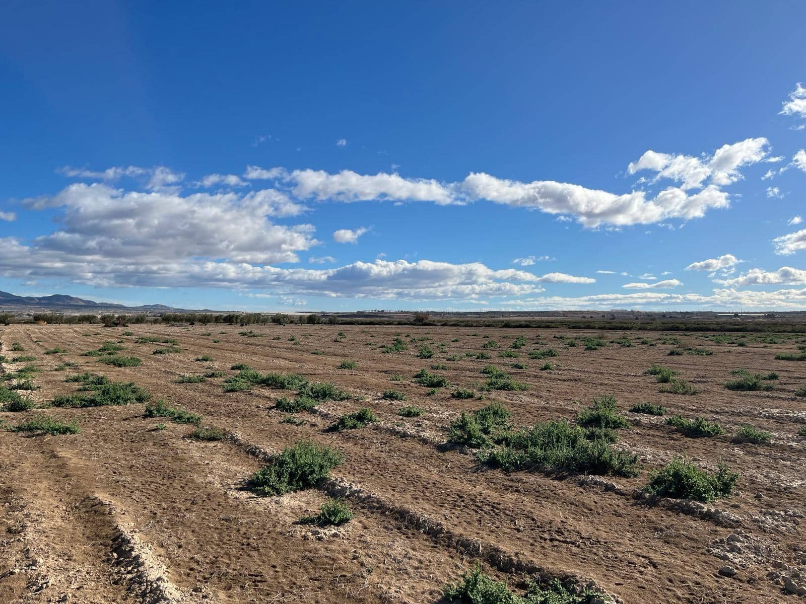 Ubebygd land til salgs i Alhama de Murcia - € 45 000 (Ref: 9884915)