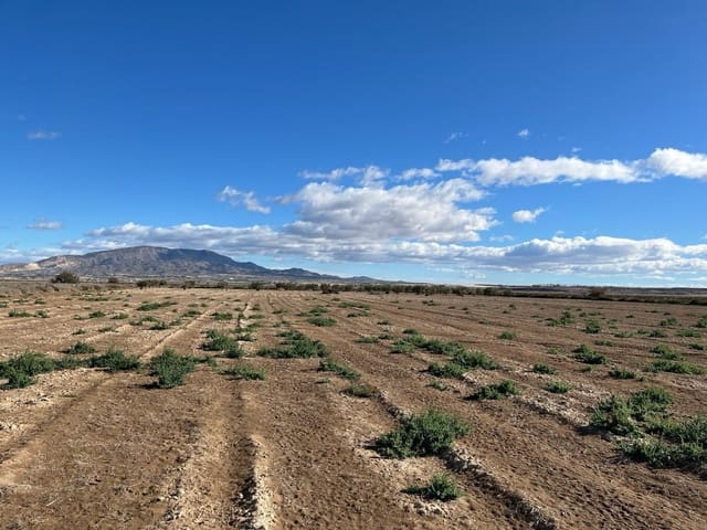 Ubebygd land til salgs i Alhama de Murcia - € 45 000 (Ref: 9884915)