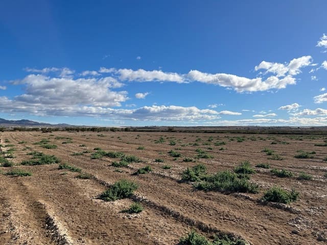 Ubebygd land til salgs i Alhama de Murcia - € 45 000 (Ref: 9884915)