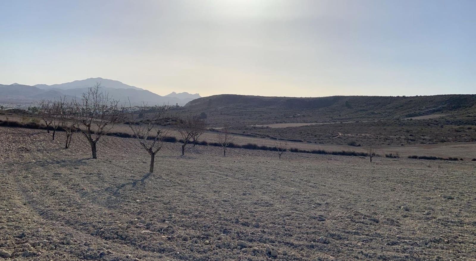 Undeveloped Land for sale in Camposol - € 93,630 (Ref: 9884916)