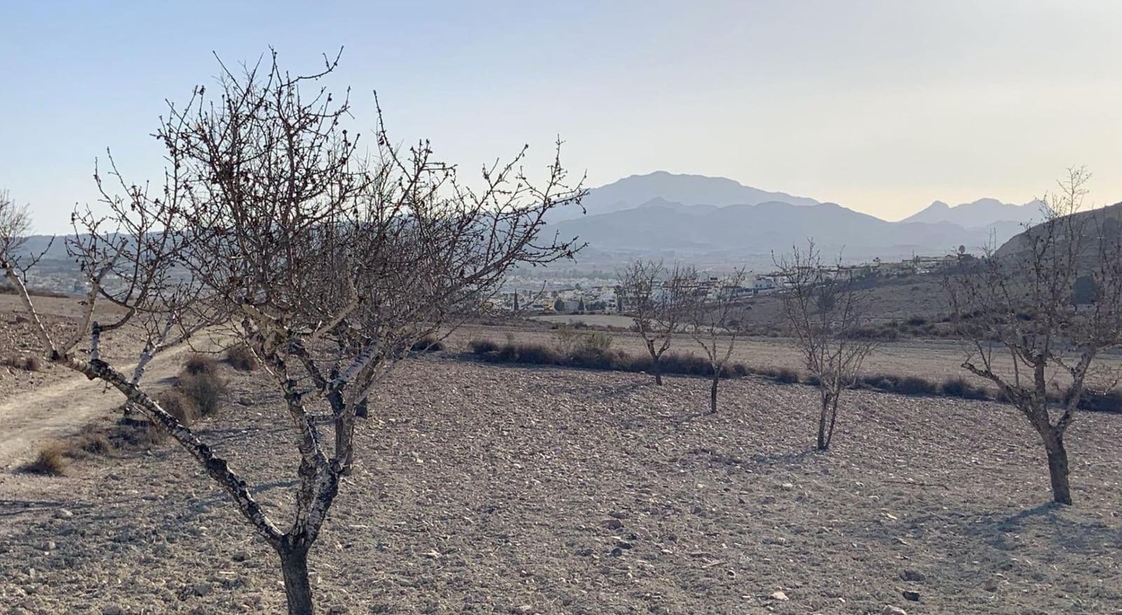 Undeveloped Land for sale in Camposol - € 93,630 (Ref: 9884916)
