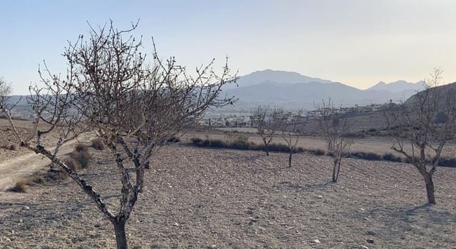 Undeveloped Land for sale in Camposol, Mazarrón - € 93,630 (Ref: 9884916)