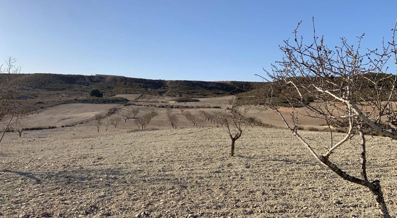 Undeveloped Land for sale in Camposol - € 93,630 (Ref: 9884916)