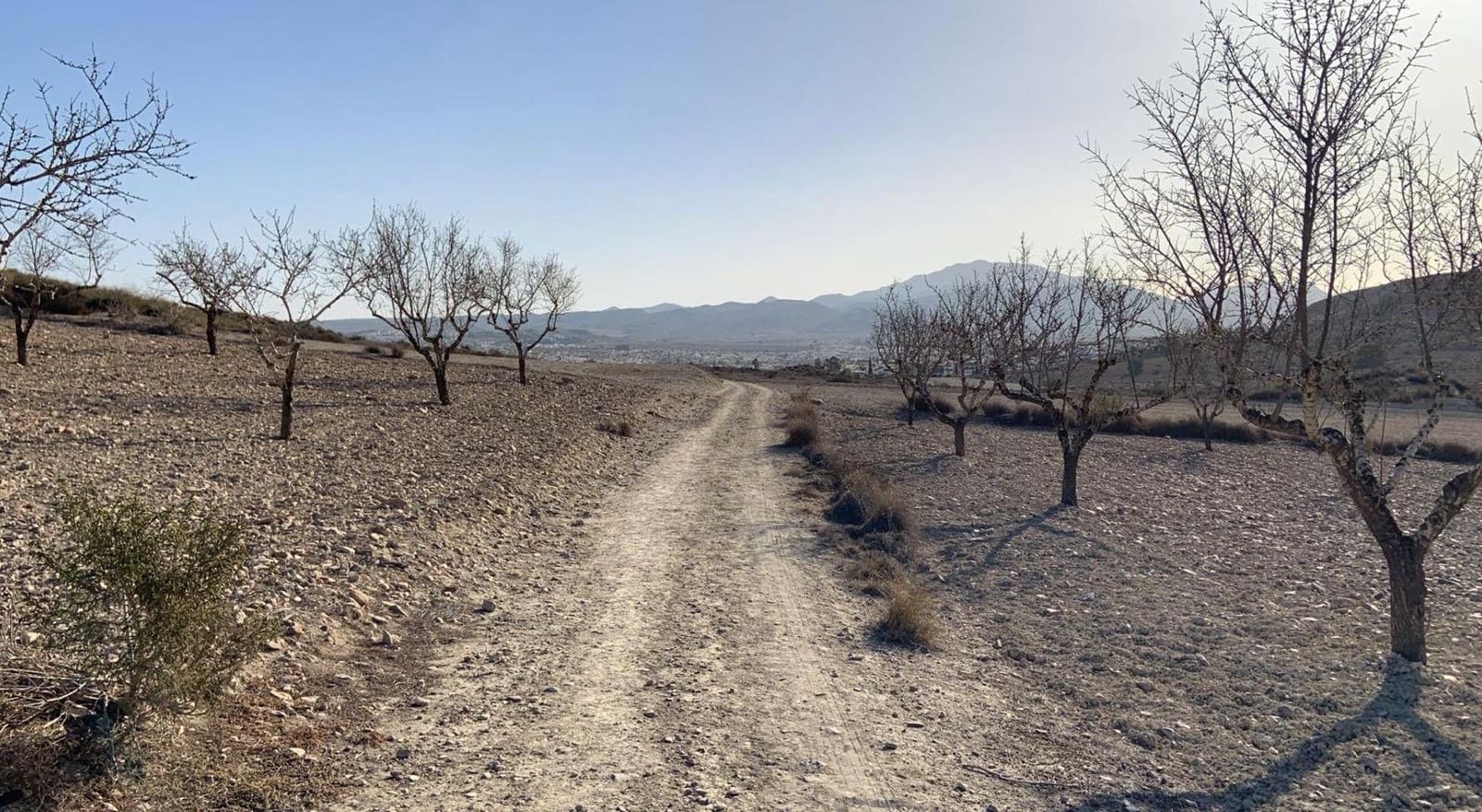 Undeveloped Land for sale in Camposol - € 93,630 (Ref: 9884916)
