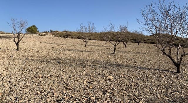 Undeveloped Land for sale in Camposol, Mazarrón - € 93,630 (Ref: 9884916)