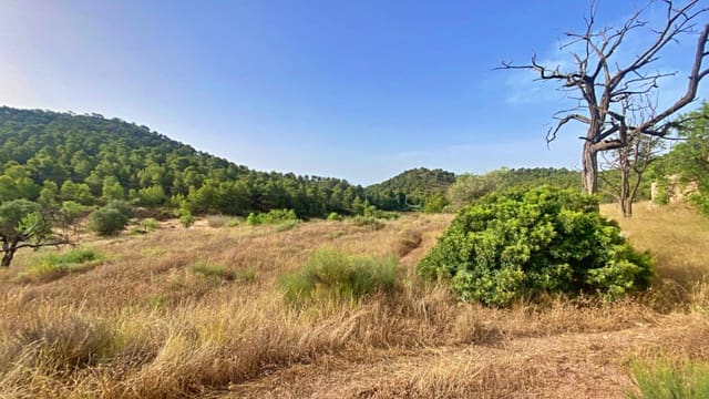 Finca/Landehus til salg i Totana - € 125.000 (Ref: 9920524)
