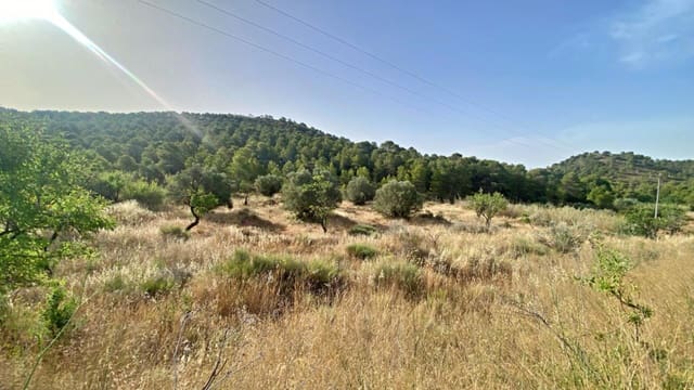 Finca/Landehus til salg i Totana - € 125.000 (Ref: 9920524)