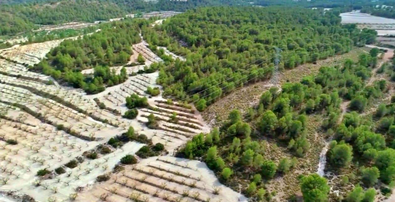 2 quarto Quinta/Casa Rural para venda em Moratalla - 1 300 000 € (Ref: 9977407)