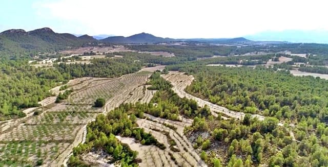2 quarto Quinta/Casa Rural para venda em Moratalla - 1 300 000 € (Ref: 9977407)