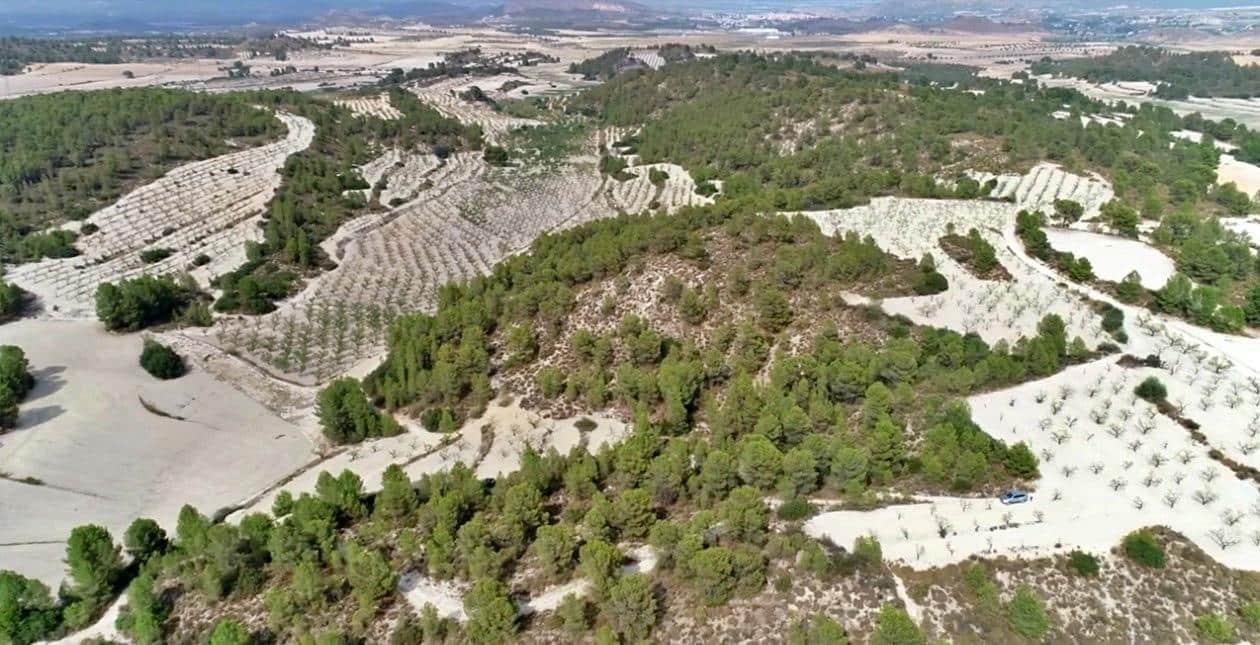 2 quarto Quinta/Casa Rural para venda em Moratalla - 1 300 000 € (Ref: 9977407)